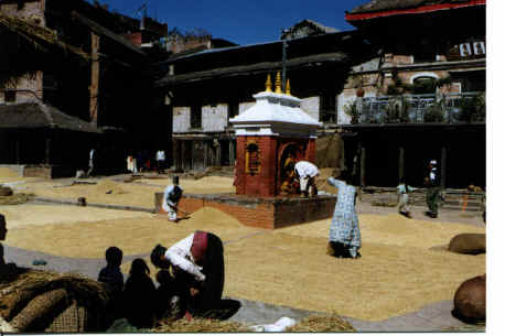 Baktapur's Place